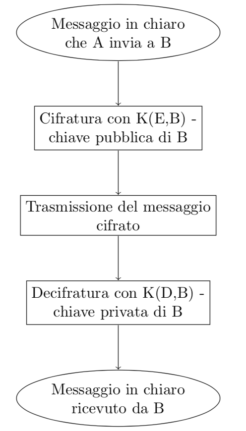 Schema procedura RSA